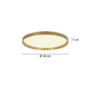 steinhauer-plafonniere-flady-goud-metaal-ø30cm-led-4367go-7