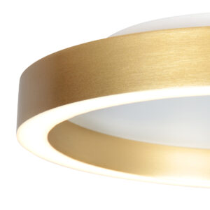 steinhauer-plafonniere-ringlux-goud-metaal-ø30cm-led-4134go-4