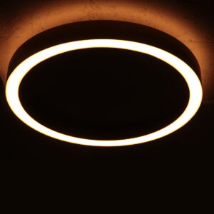 steinhauer-plafonniere-ringlux-staal-metaal-ø40cm-led-4135st-14