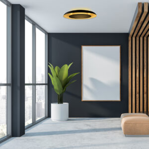 steinhauer-plafonniere-goldenveil-zwart-metaal-ø60cm-led-4732zw-2