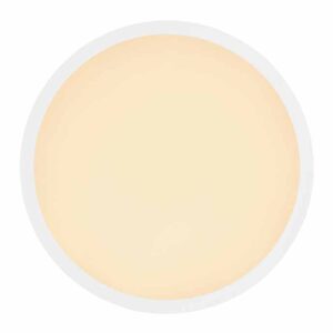 globo-plafonniere-sapana-wit-kunststof-ø42cm-led-41562-24w-1