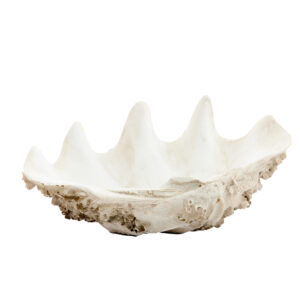 light&livingornamenttoruvvankunststoftaupe–22x16x51,5cm-2