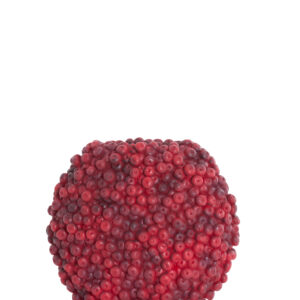 light&livingvaasberriesbordeauxkunststof–32x18x27,5cm-0