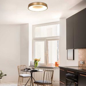 steinhauer-plafonniere-ringlede-goud-kunststofmetaal-ø48cm-led-2563go-2