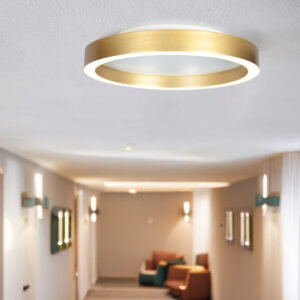 steinhauer-plafonniere-ringlux-goud-metaal-ø30cm-led-4134go-2