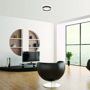 steinhauer-plafonniere-ringlux-zwart-metaal-ø30cm-led-4134zw-2