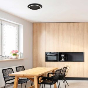 steinhauer-plafonniere-ringlux-zwart-metaal-ø32cm-led-3655zw-2