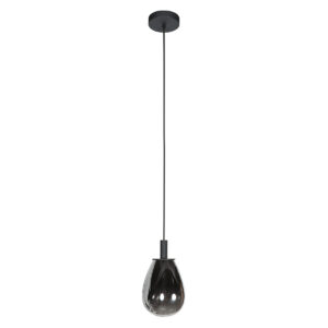 steinhauer-hanglamp-glimsy-zwart-glasmetaal-ø15cm-led-4200zw-1