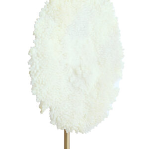 light&livingornamentcoralopvoetincremeenantiekbrons-46x20x69cm-2