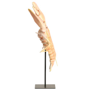 light&livingornamentzennavankunststoftaupe-28x17x41,5cm-1