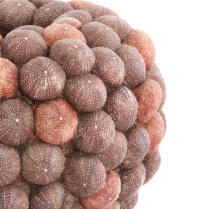 light&livingseaurchinvaasinkoraalroodenbordeaux-o40x23,5cm-474