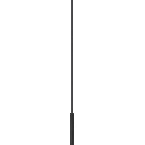 globo-hanglamp-firefly-zwart-glas-o30cm-led-15642-1