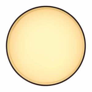 globo-plafonniere-jenny-zwart-aluminium-o14cm-led-12016b-1