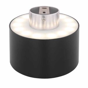 globo-plafonniere-jenny-zwart-aluminium-o14cm-led-12016b-2