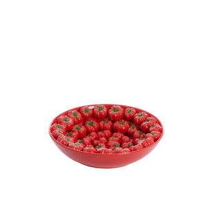 light-livingtaminakeramiekenschaalinrood-o43x12cm-1