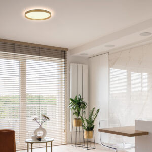 plafonniere-goud-flady-elektronicakunststofmetaal-o30cm-led-4367go-steinhauer-2