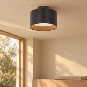 plafonniere-zwart-jenny-aluminium-o14cm-led-12016b-globo-1
