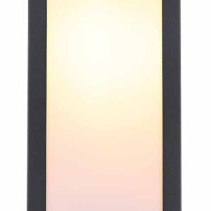 wandlamp-zwart-gundula-metaal-e27-31980o-globo-1